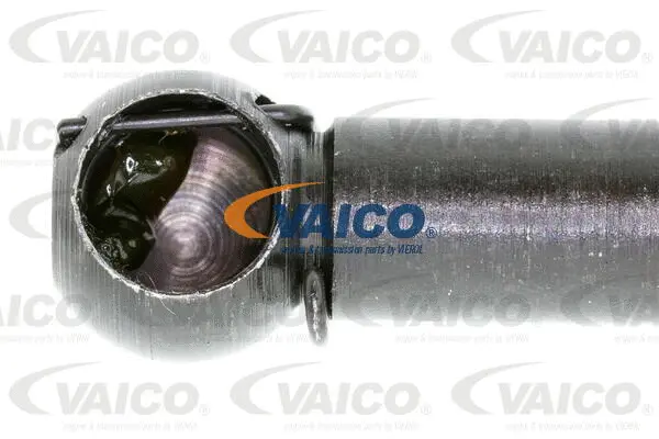 Gas Spring, boot/cargo area