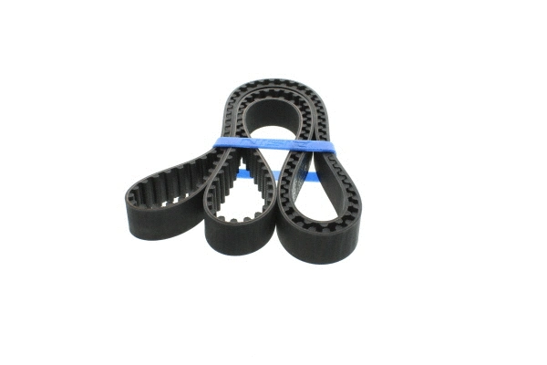 Timing Belt