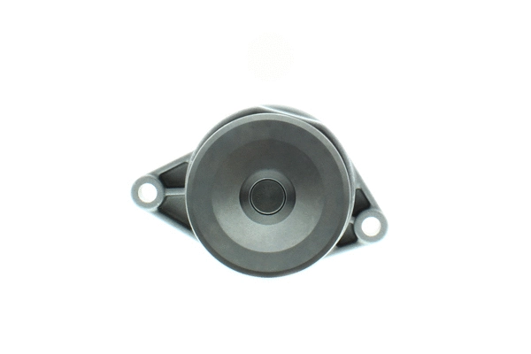 Water Pump, engine cooling (WE-VW48)