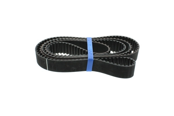 Timing Belt
