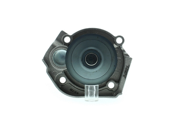 Water Pump, engine cooling (WE-FI19)
