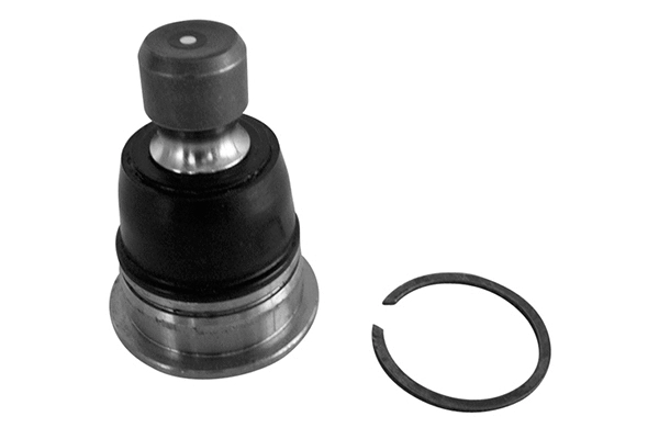 Ball Joint (JBJN-004)