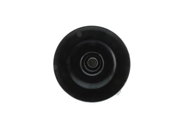 Water Pump, engine cooling (WE-FO09)