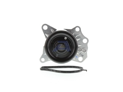 Water Pump, engine cooling (WPT-164)