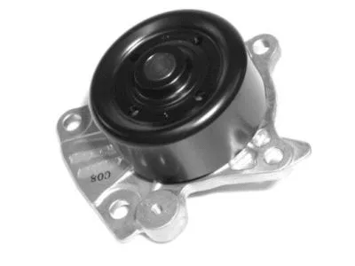 Water Pump, engine cooling (WPT-184)