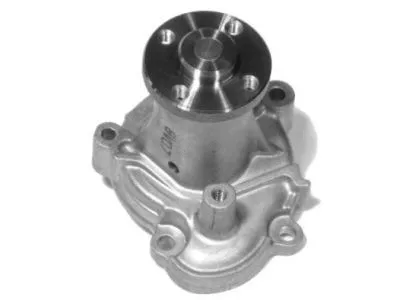 Water Pump, engine cooling (WPM-005)