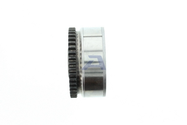 Actuator, exentric shaft (variable valve lift)