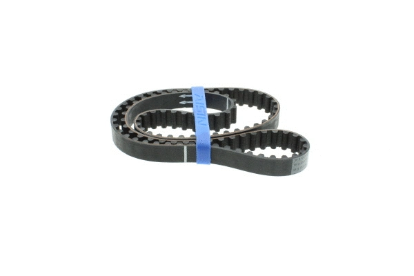 Timing Belt