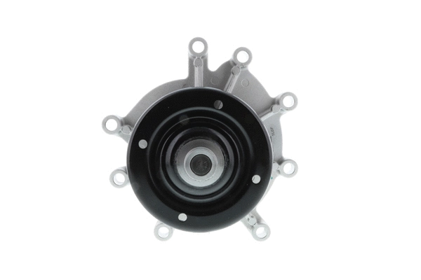 Water Pump, engine cooling (WPCH-703)