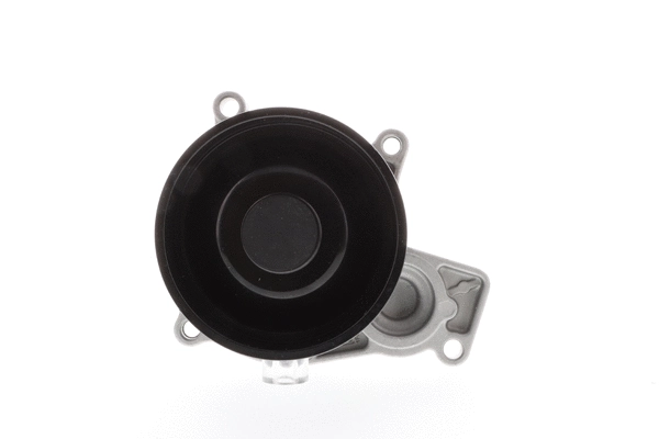 Water Pump, engine cooling (WE-BM28)