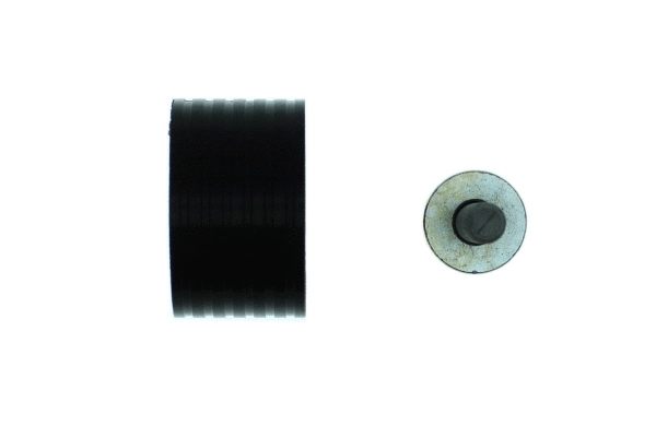 Deflection/Guide Pulley, timing belt (AGE-006)