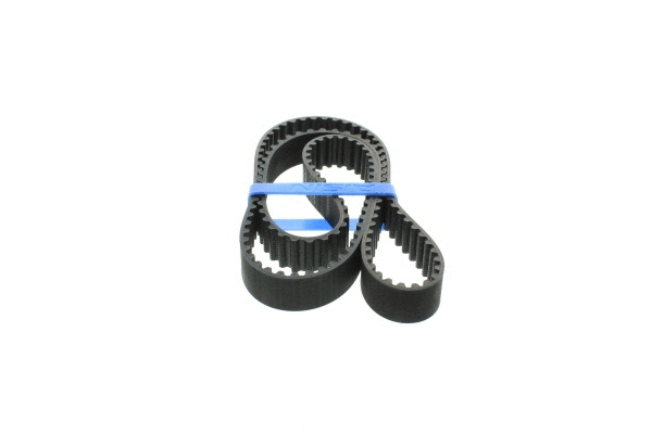 Timing Belt