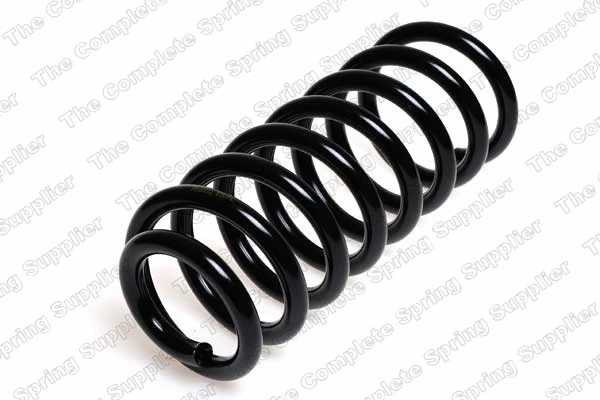 Suspension Spring (4204223)