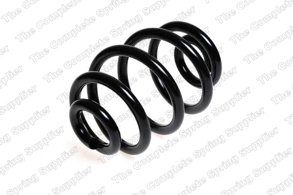 Suspension Spring (4208424)