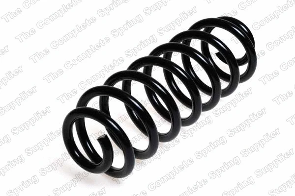 Suspension Spring (4208426)