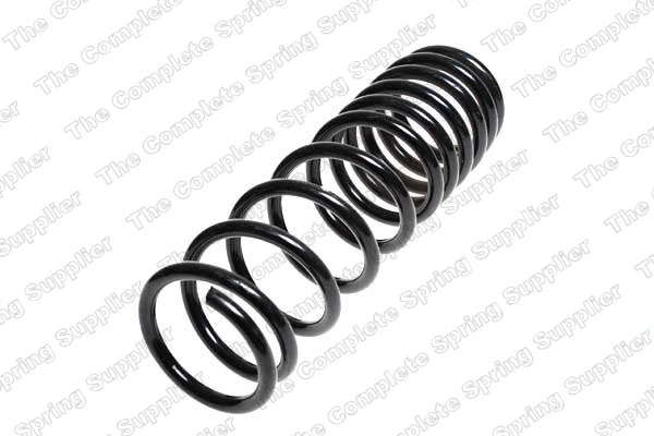 Suspension Spring (4208409)