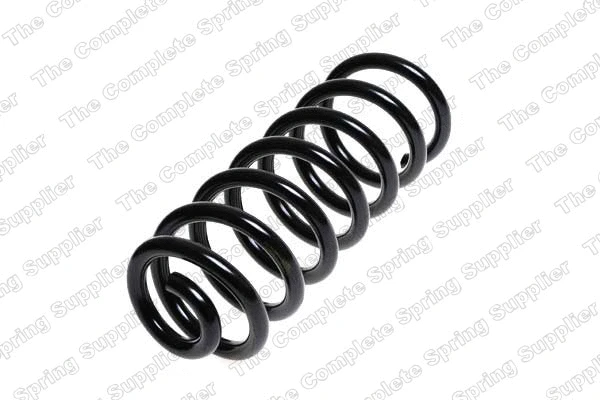 Suspension Spring (4204250)