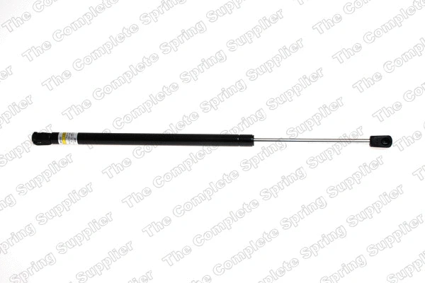 Gas Spring, rear window (8163462)
