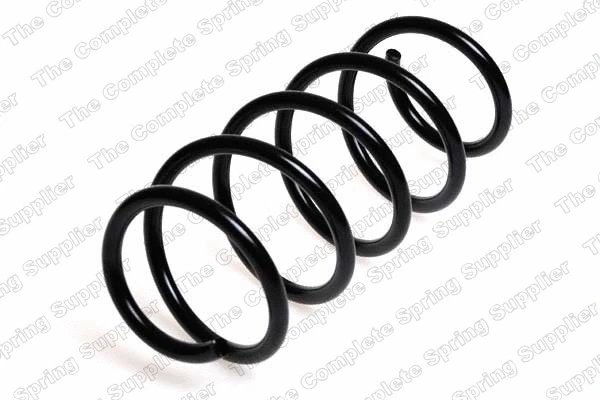 Suspension Spring (4063466)