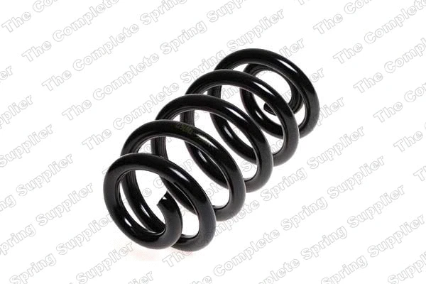 Suspension Spring (4204252)