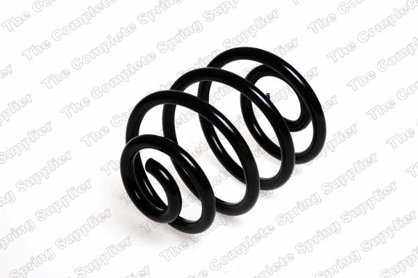 Suspension Spring (4217700)