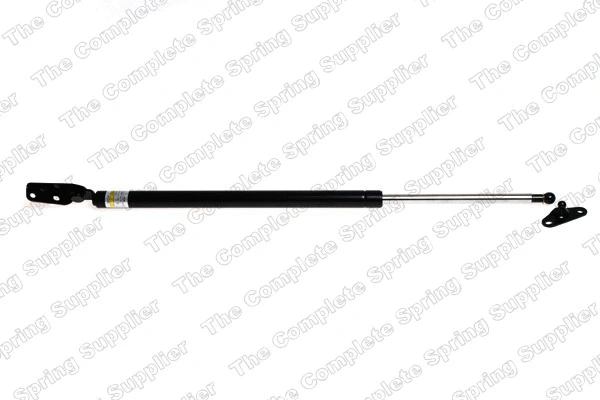 Gas Spring, boot/cargo area (8192543)