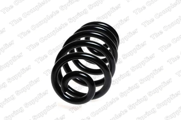 Suspension Spring (4204258)