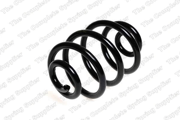 Suspension Spring (4208417)