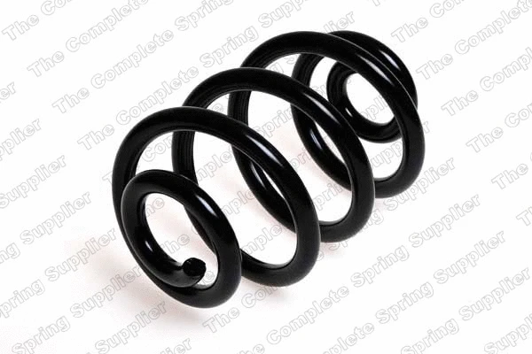 Suspension Spring (4208432)