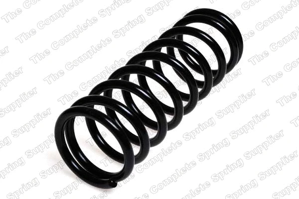 Suspension Spring (4204201)