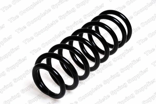 Suspension Spring (4204203)