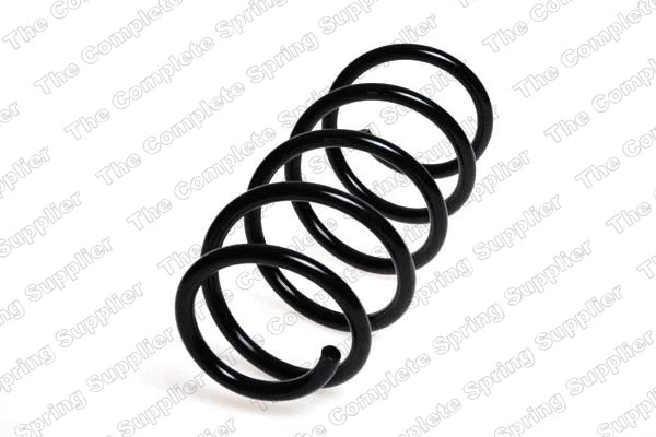 Suspension Spring (4063521)