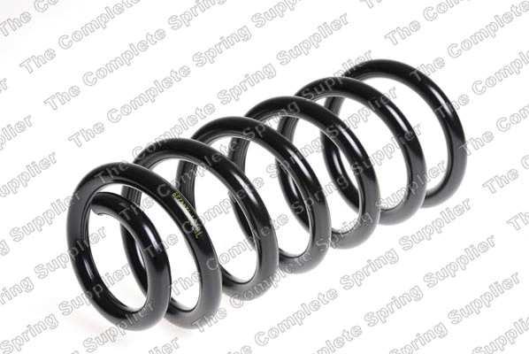 Suspension Spring (4204260)