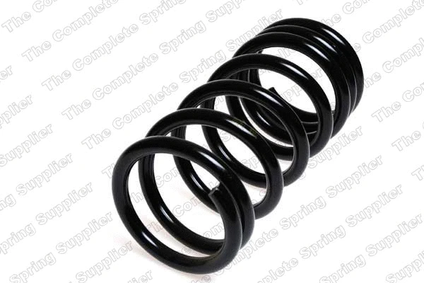 Suspension Spring (4227521)