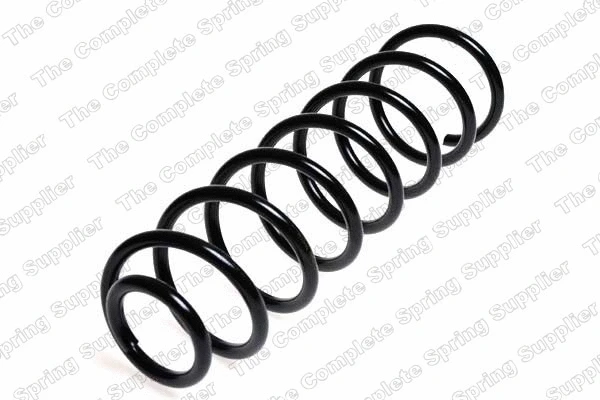 Suspension Spring (4204212)