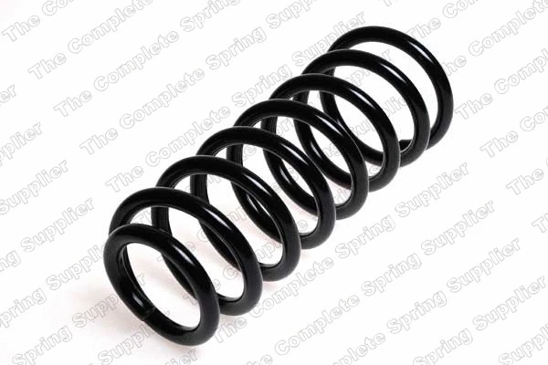 Suspension Spring (4204235)