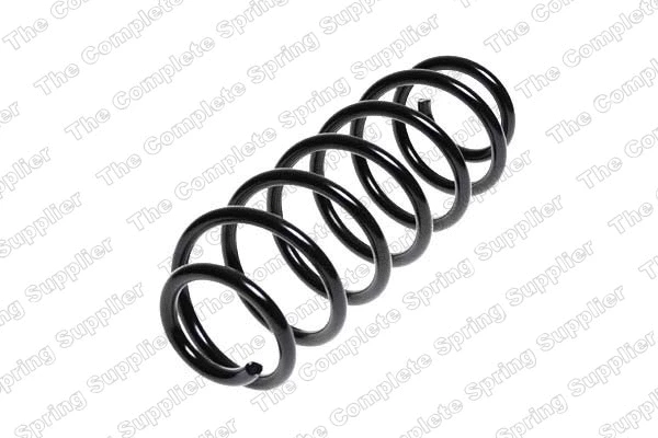 Suspension Spring (4204248)