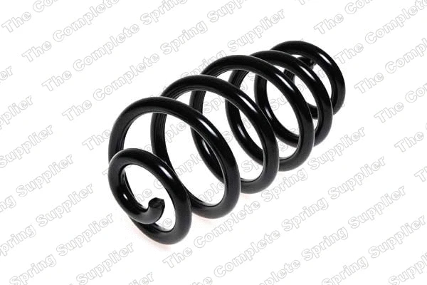 Suspension Spring (4204241)