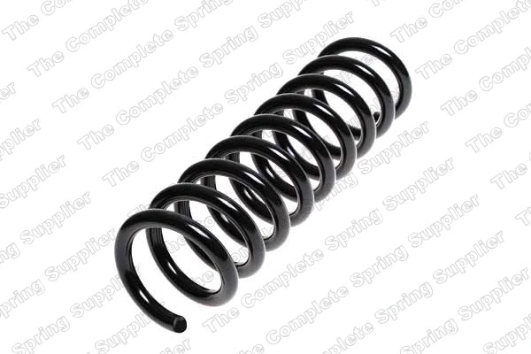 Suspension Spring (17202)