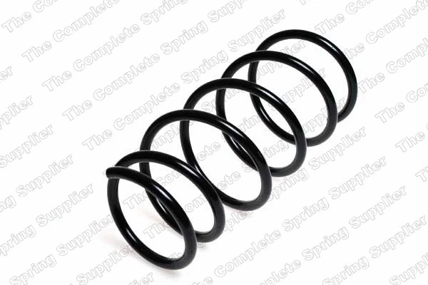 Suspension Spring (22163)