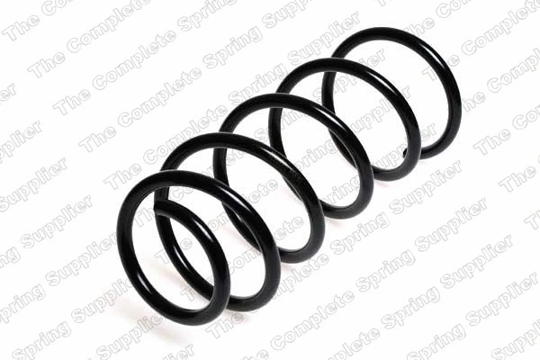 Suspension Spring (25019)
