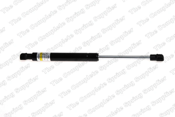 Gas Spring, boot/cargo area (422054)