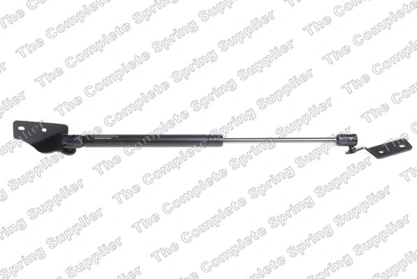 Gas Spring, boot/cargo area (442056)