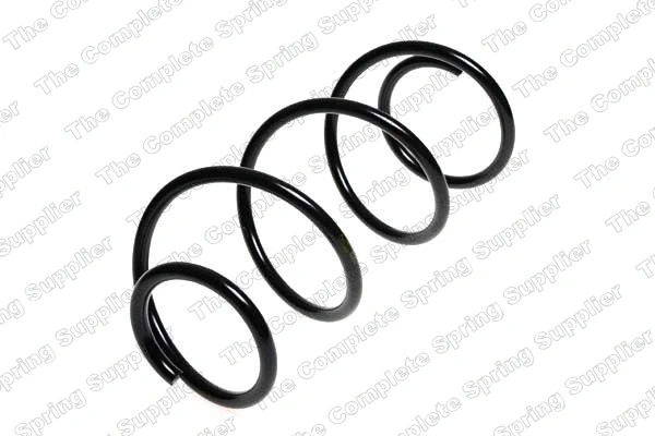 Suspension Spring (22028)