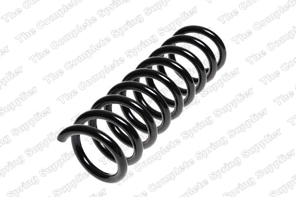 Suspension Spring (17190)