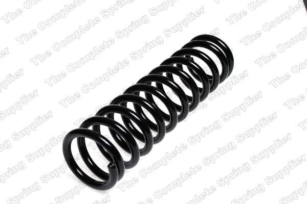 Suspension Spring (17120)