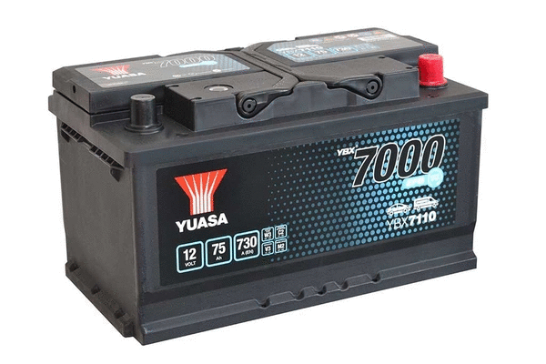 Starter Battery (B100010)