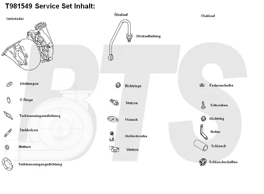 Charger, charging (supercharged/turbocharged) (T981549)