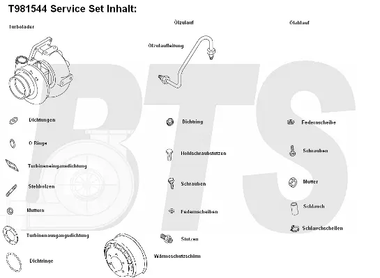 Charger, charging (supercharged/turbocharged) (T981544)