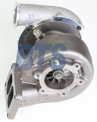 Charger, charging (supercharged/turbocharged) (T911496)